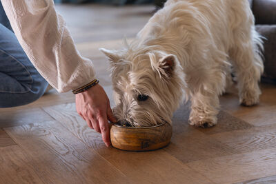 Beeztees DBL Köpek Mama Su Kabı, Dışı Masif Ahşap, Paslanmaz Çelik, 16,5cm, 650ml - 2