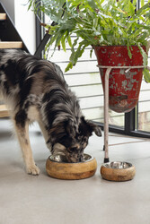 Beeztees DBL Köpek Mama Su Kabı, Dışı Masif Ahşap, Paslanmaz Çelik, 16,5cm, 650ml - 12