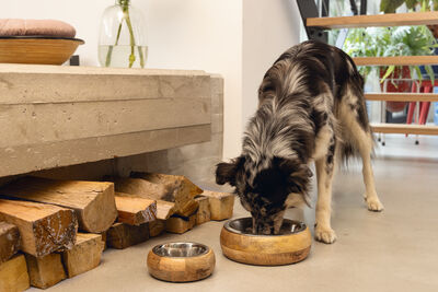 Beeztees DBL Köpek Mama Su Kabı, Dışı Masif Ahşap, Paslanmaz Çelik, 16,5cm, 650ml - 14