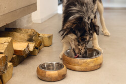 Beeztees DBL Köpek Mama Su Kabı, Dışı Masif Ahşap, Paslanmaz Çelik, 16,5cm, 650ml - 15