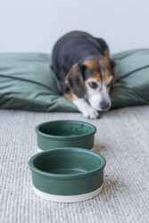 Beeztees DBL Köpek Mama Su Kabı, Seramik, Mat Yeşil, 16cm, 350ml - 2