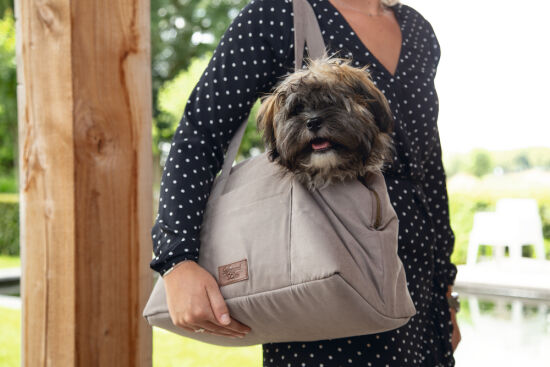 Beeztees DBL Köpek Taşıma Çantası, Yıkanabilir, 6,5Kg'ye kadar, Bej, 40x20x28cm - 2