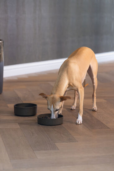 Beeztees DBL Köpek Yavaş Besleme Mama Kabı, Bambu, Antrasit, 17cm, 800ml - 4