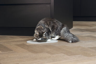 Beeztees DBL Mama Su Kabı Servisi, Silikon, Kaymaz, Bej, 45x25x1,5cm