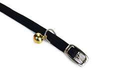 Beeztees Kedi Boyun Tasması, Siyah, 24,5-29,5cm - Thumbnail