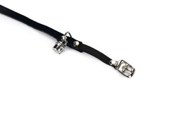 Beeztees Kedi Boyun Tasması, Süet, Siyah, 24-29cm - Thumbnail