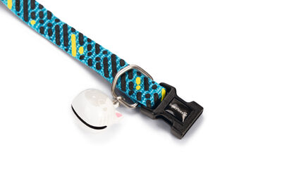 Beeztees Kedi Boyun Tasması, Zilli, Mavi, 20-30cm