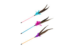 Beeztees Kedi Oltası, Ucu Tüylü-10cm, 30cm - Beeztees