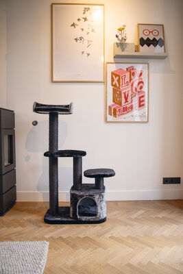 Beeztees Kedi Tırmalama ve Oyun Evi, Siyah/Gri, 60x40x115cm