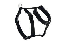 Beeztees Köpek Araç İçi Göğüs Tasması, Siyah, 75-100cm Göğüs Çapı, 25mm - Beeztees