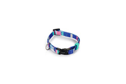 Beeztees - Beeztees Köpek Boyun Tasması, Renkli Kaıln Çizgiler, 20-30cm, 10mm