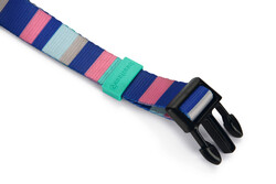 Beeztees Köpek Boyun Tasması, Renkli Kalın Çizgiler, 48-70cm, 25mm - Thumbnail