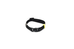 Beeztees - Beeztees Köpek Boyun Tasması, Siyah, 20-30cm, 10mm