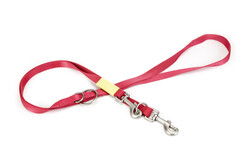 Beeztees - Beeztees Köpek Gezdirme Kayışı, Pembe, 200cm, 20mm