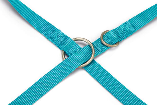 Beeztees Köpek Gezdirme Kayışı, Turkuaz, 200cm, 20mm - 3