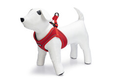 Beeztees - Beeztees Köpek Göğüs Tasması, Neopren, Kırmızı, M, 41-46cm