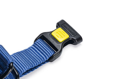 Beeztees Köpek Göğüs Tasması, Neopren, Mavi, XS, 30-35cm