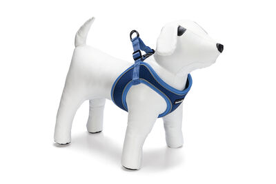 Beeztees Köpek Göğüs Tasması, Neopren, Mavi, XS, 30-35cm