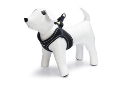 Beeztees - Beeztees Köpek Göğüs Tasması, Neopren, Siyah, M, 41-46cm