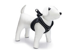 Beeztees Köpek Göğüs Tasması, Neopren, Siyah, S, 38-44cm - 2