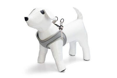 Beeztees Köpek Göğüs Tasması, Neopren, Yeşil, M, 41-46cm