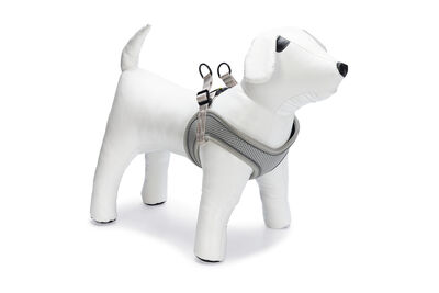 Beeztees Köpek Göğüs Tasması, Neopren, Yeşil, M, 41-46cm