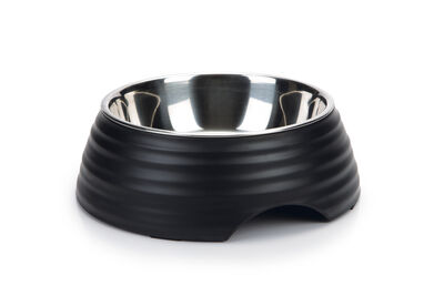 Beeztees Köpek Mama Su Kabı, Paslanmaz Çelik, 22cm - 1