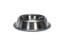 Beeztees - Beeztees Köpek Mama Su Kabı, Paslanmaz Çelik, Kaymaz, 16,5cm, 450ml