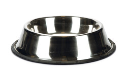 Beeztees - Beeztees Köpek Mama Su Kabı, Paslanmaz Çelik, Kaymaz, 25,5cm, 2,2L