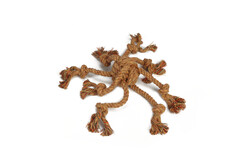 Beeztees Köpek Oyuncağı, Diş İpi Ahtapot Şeklinde, Pamuk İplerden, 32cm - Beeztees