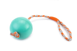 Beeztees - Beeztees Köpek Oyuncağı, İpli Dolu Top, Kauçuk, Turkuaz, 30cm