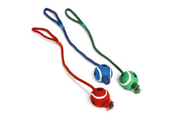 Beeztees - Beeztees Köpek Oyuncağı, İpli Tenis Topu, Çeşitli Renklerde, İp 60cm , Top 6cm