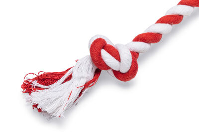 Beeztees Köpek Oyuncağı, Parti Balonu, Peluş, Mavi, 39x13x7,5cm