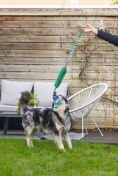 Beeztees Köpek Oyuncağı, Tut Getir Tenis Toplu, Peluş, Mavi-Yeşil, 90x10x6cm - Thumbnail