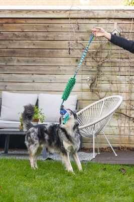 Beeztees Köpek Oyuncağı, Tut Getir Tenis Toplu, Peluş, Mavi-Yeşil, 90x10x6cm