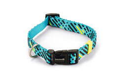 Beeztees - Beeztees Köpek Tasması, Turkuaz, 35-50cm, 20mm