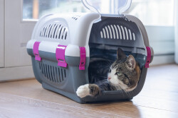 Beeztees Köpek veya Kedi Taşıma Kabı, Gri/Pembe, 51x34,5x33cm - 3