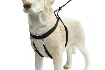 Beeztees Köpek Yürüyüş Eğitim ve Düzeltme Tasması, L - 3