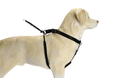 Beeztees Köpek Yürüyüş Eğitim ve Düzeltme Tasması, S - 2