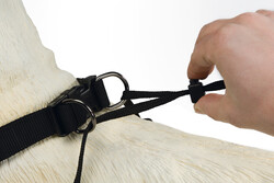 Beeztees Köpek Yürüyüş Eğitim ve Düzeltme Tasması, S - 4