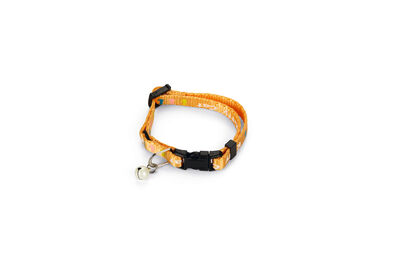 Beeztees Yavru Kedi Boyun Tasması, Zilli, Sarı, 17,5-23cm