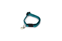 Beeztees Yavru Kedi Boyun Tasması, Zilli, Yeşil, 15-22cm - Beeztees