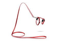 Beeztees Yavru Kedi Göğüs Tasması ve Gezdirme Kayışı 120cm, Kırmızı, 16-25cm Boyun, 23-36cm Göğüs - Beeztees