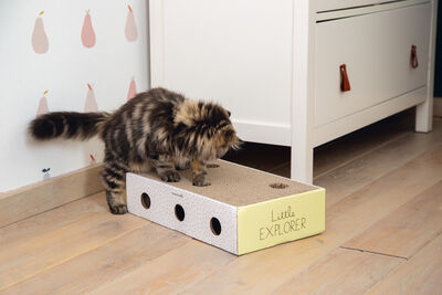 Beeztees Yavru Kedi Karton Tırmalama ve Oyuncağı, 25x42x10cm