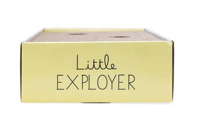 Beeztees Yavru Kedi Karton Tırmalama ve Oyuncağı, 25x42x10cm