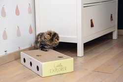 Beeztees Yavru Kedi Karton Tırmalama ve Oyuncağı, 25x42x10cm - Thumbnail