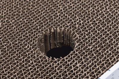 Beeztees Yavru Kedi Karton Tırmalama ve Oyuncağı, 25x42x10cm