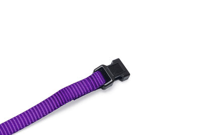 Beeztees Yavru Köpek Boyun Tasması, Çeşitli Renklerde, 22-35cm, 10mm