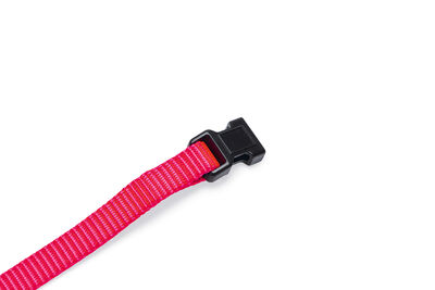 Beeztees Yavru Köpek Boyun Tasması, Çeşitli Renklerde, 22-35cm, 10mm