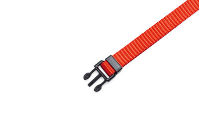 Beeztees Yavru Köpek Boyun Tasması, Çeşitli Renklerde, 22-35cm, 10mm